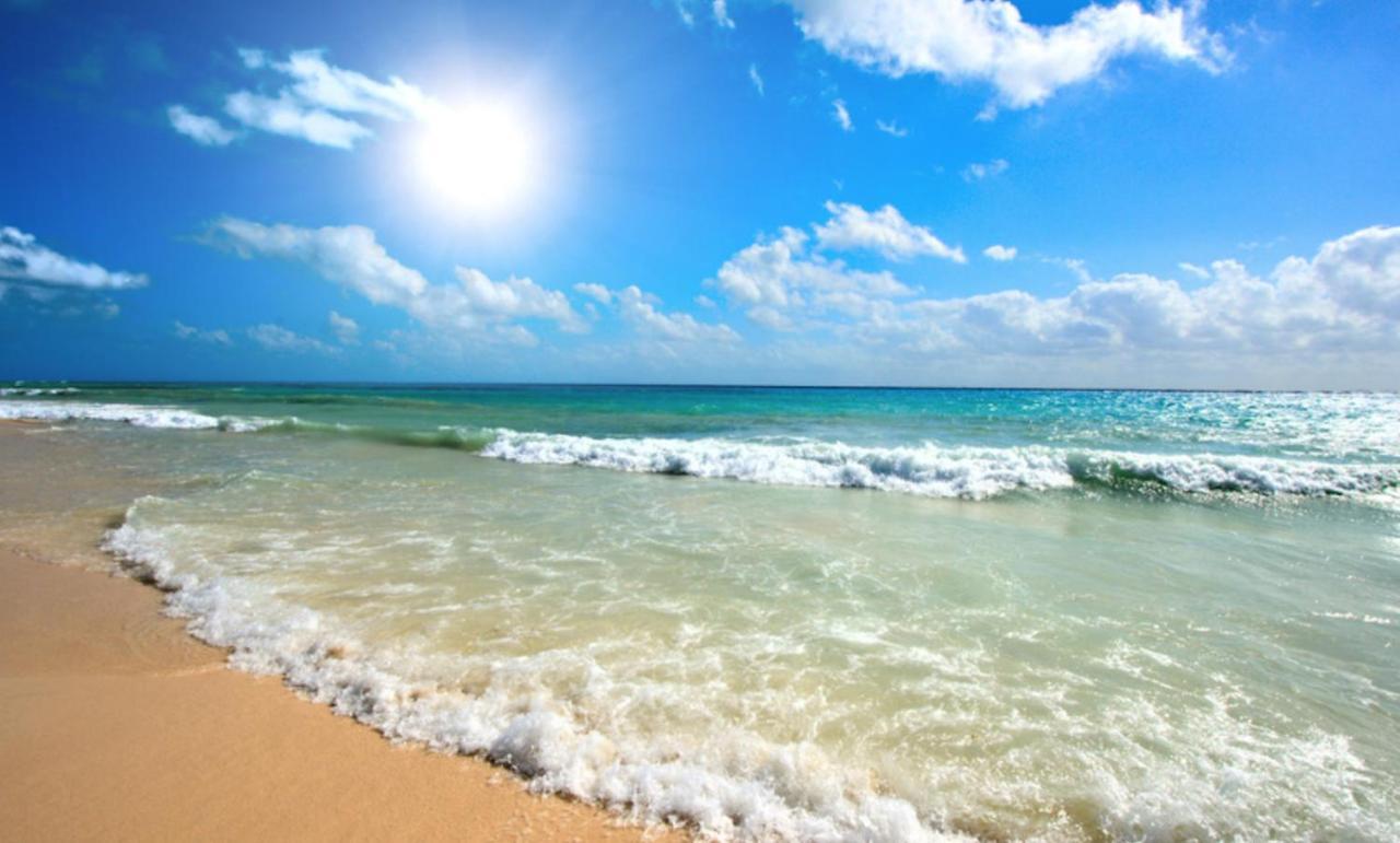 Amadeus XV 44 Studio Sunny Beach Centum Экстерьер фото